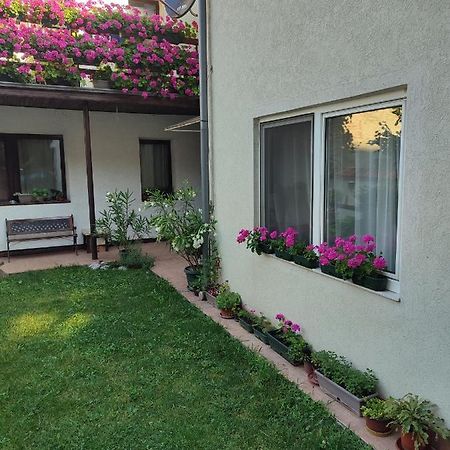 Apartman Mitic Požarevac Exterior foto